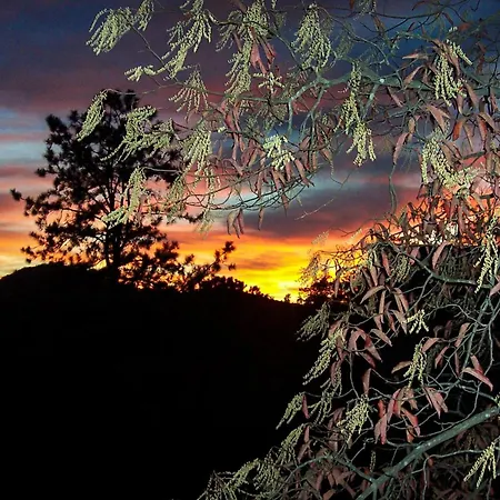 Above The Pines Villa